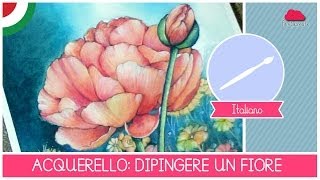 Corso di Acquerello BASE come dipingere un FIORE LEZIONE 10 La corolla [upl. by Assilym]