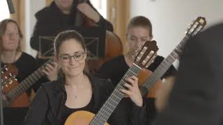 Sonata K 213  Domenico Scarlatti  Das Badische Zupforchester [upl. by Eeresid]