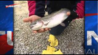 Italian Fishing TV  Tubertini  Tecniche di pesca  Trota Lago [upl. by Enoved]