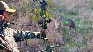 Bowhunting the RUT in Pennsylvania BUCK DOWN [upl. by Sakmar]