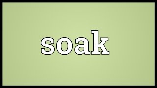 Soak Meaning [upl. by Eicirtap]