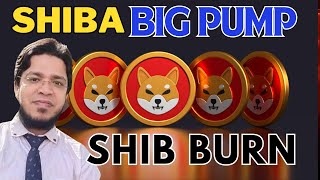 Shiba inu Token New Today Big Burning I 100000 Value worth token Burn I Shiba inu price 0014 [upl. by Awram]