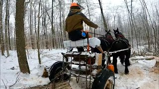 HORSE LOGGING with Jim amp the Percherons No Talking  Powerful Horses amp Peaceful Scenery [upl. by Anairuy]