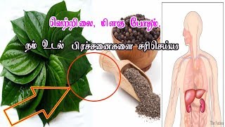 வெற்றிலை  மிளகின் பயன்கள்  vetrilai amp Milagu Benefits In tamilSiththarkal Ulagam [upl. by Delle695]