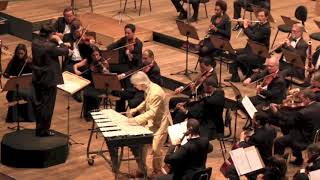 Ney Rosauro Concerto N1 for Vibraphone best moments [upl. by Rexanna281]