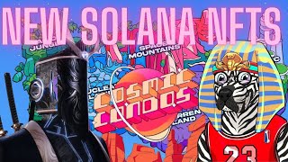 Checkout These New Solana NFTs [upl. by Hedgcock]