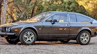 79 Alfetta Neglected 13 Months [upl. by Newberry]