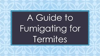 A Guide to Fumigating for Termites [upl. by Newg]