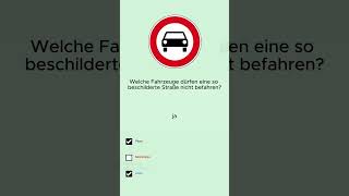 Die häufigsten Verkehrszeichen die du für die Prüfung kennen musst prüfung shorts automobile [upl. by Noxin]