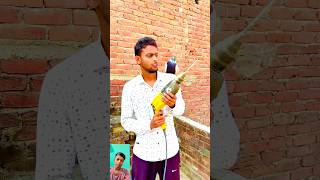 Kabuter Plumber ko Bula Laya  wait for it  pigeon reaction pigeo skpigeonloft [upl. by Esir]