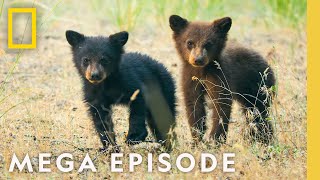 The Wonder of Americas National Parks  MEGA EPISODE Season 1 Full Episode [upl. by Nepil]