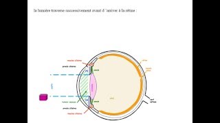 BIOPHYSIQUE Dioptrique Oculaire [upl. by Eelarac]