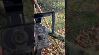 CAMPARK TC25  camera chasse 4G avec panneau solaire [upl. by Ephram854]