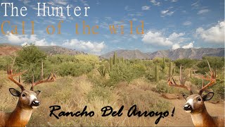 Rancho Del Arroyo QUICK Whitetail Deer Guide 😎 [upl. by Leiad]