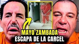 El Mayo Escapa de la Cárcel de El Chapo ¡La Fuga Más Sorprendente [upl. by Infeld]