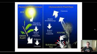 Types of Autotrophs [upl. by Lundeen]