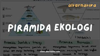 Ekosistem Piramida Ekologi Biologi  Alternatifa [upl. by Boles]