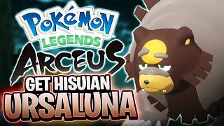 How to Evolve Ursaring into Ursaluna How to get Peat Block Pokemon Legends Arceus Guide [upl. by Nylcoj]