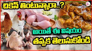 చికెన్ తింటున్నారా  Broiler Chicken  Broiler Chicken Is Good For Health  sumantvguntur946 [upl. by Atteve36]