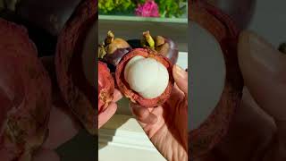 How to open a Mangosteen the Filipino way mangosteen [upl. by Skipp448]