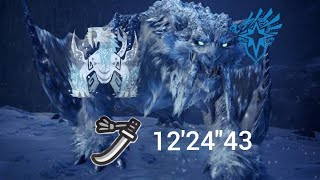 MHWI Barioth presa gelida long sword speedrun122443 PS5 [upl. by Dustan]