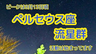 【空カメラ】2023ペルセウス座流星群ライブ配信（202389） [upl. by Florella]