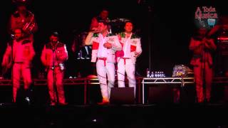 Banda MS quotPideme Perdon amp Mi Olvidoquot Desde El Aragon En Chicago IL 312014 [upl. by Corny]