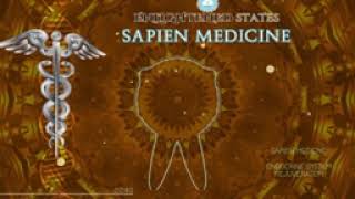 Endocrine System Rejuvenation by Sapien Medicine [upl. by Monafo]