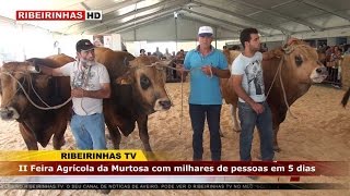 Feira Agrícola da Murtosa contou com milhares de visitantes nos 5 dias do evento [upl. by Shifra]