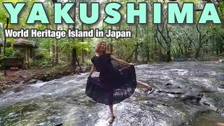 Yakushima Island 1🇯🇵 Adventure in the hidden forest Japan vlog☆ [upl. by Tneciv]