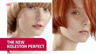 The New Koleston Perfect  Wella Education [upl. by Tirrej]