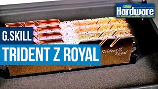 GSkill TridentZ Royal  3200 Vs 3600 MHz Ram  Gaming Benchmarks [upl. by Bazar]