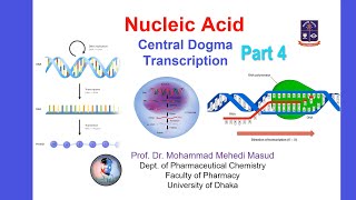 Nucleic Acid Part 4 [upl. by Ennaj848]