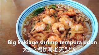 Big kakiage shrimp tempura udon 🧅🦐 udon kakiage shrimprecipe [upl. by Nager]