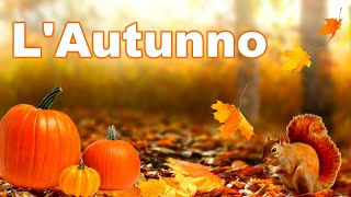 È AUTUNNO 🍁🌰☔🎃 Scopriamo insieme le sue caratteristiche Le Stagioni  Scuola Primaria 🍂🍇🦔🍄 [upl. by Kendry]