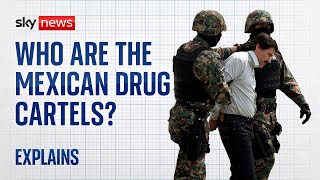 Who are the Mexican drug cartels [upl. by Naginnarb883]