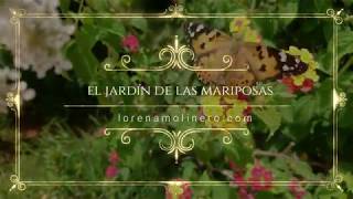 El jardín de las mariposas [upl. by Sayre]