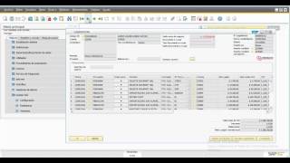 HBT 913110 LEGALIZACIONES SAP BUSINESS ONE [upl. by Allie]