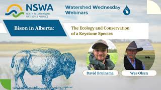 October Webinar  Bison in Alberta with Wes Olsen amp David Bruinsma [upl. by Henriha]