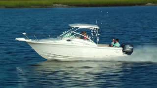 Scout Boats 245 Abaco Series [upl. by Carrnan]