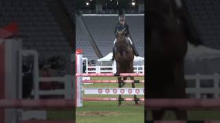 Saint boy did amazing horse horsey edits equestrian equestrianvibes horses jumping riding [upl. by Carole488]