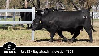 Lot 83 Eaglehawk Innovation T801 [upl. by Curtice752]