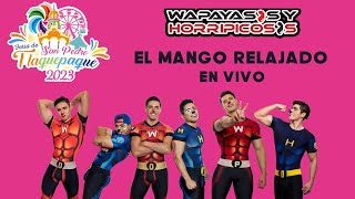 El Mango Relajado En Vivo Wapayasos [upl. by Ahsinnor]