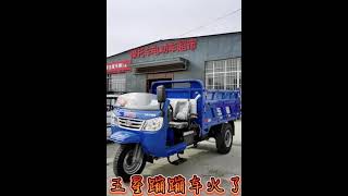 Unbelievable diesel tricycle for agriculture farm cargueros triporteur motocarro [upl. by Tymothy463]