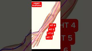 The Heart Meridian Acupuncture Points acupuncture [upl. by Atnuhs]