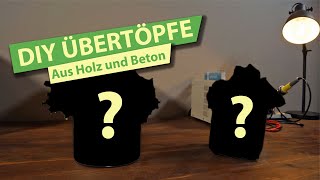 Übertöpfe aus Holz und Beton selber bauen  DIY [upl. by Aihseit]