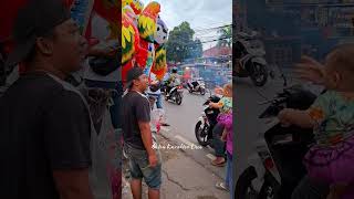 Dede bayi belii balon ayam jago balloon balonkarakter [upl. by Elvina]