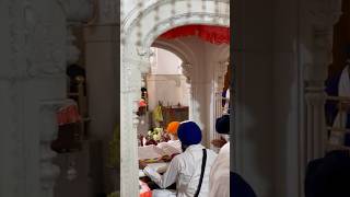 Waheguru ji  Gurudwara Fatehgarh Sahib  Darshan live gurudwarasahib gurbanistatus wmk yt [upl. by Riedel]