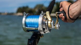 Best Saltwater Reel Combo [upl. by Alah]