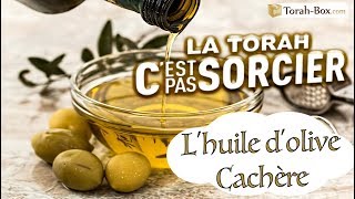 La Torah CEST PAS SORCIER  Lhuile dolive Cachère [upl. by Carnes366]